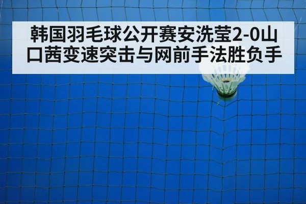 badminton net play