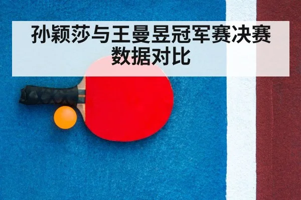 孙颖莎与王曼昱冠军赛决赛数据对比